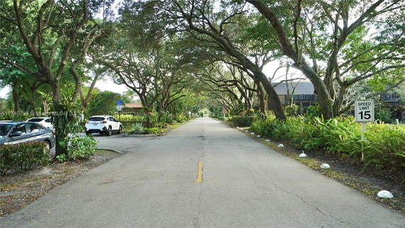Tree-lined street with cars parked on the sides.