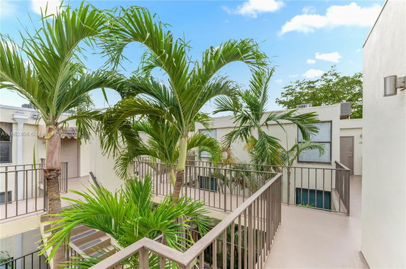 Rooftop area with palm trees and railings.