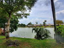 miamire/1872e68147686fc34d8032359a565bd9.jpg?width=131&height=105&format3=webp