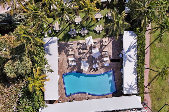 Aerial view of a swimming pool with surrounding lounge chairs and umbrellas.