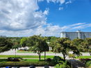 miamire/19670e4d12cadda57f3daf866888498f.jpg?width=131&height=105&format3=webp