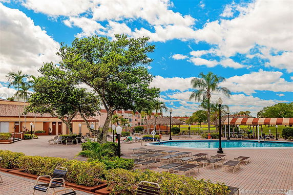 Outdoor swimming pool area with surrounding lounge chairs and palm trees.