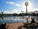 miamire/19d48935fda767999355514769a8a223.jpg?width=131&height=105&format3=webp