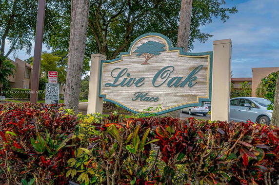 Signage for 'Live Oak Place' surrounded by vegetation and trees.