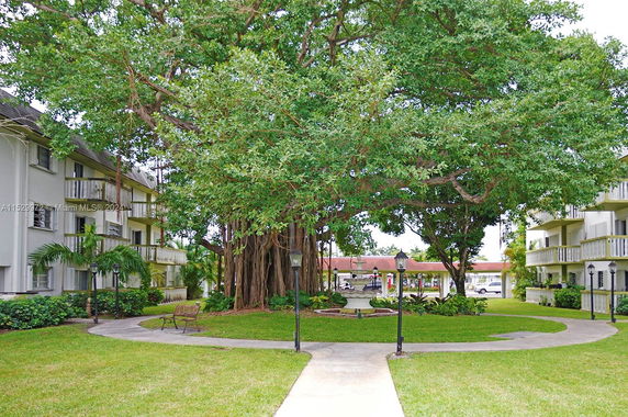 Outdoor view of a residential area with a large tree and pathway.
