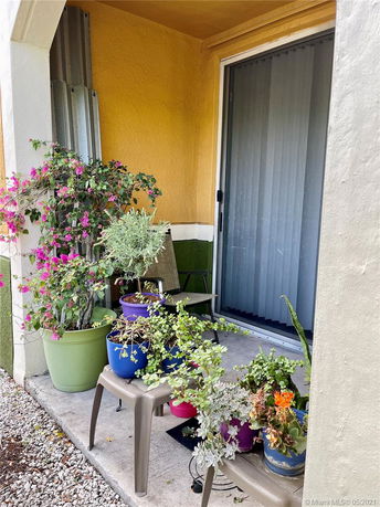 Patio area with multiple potted plants and a sliding glass door.