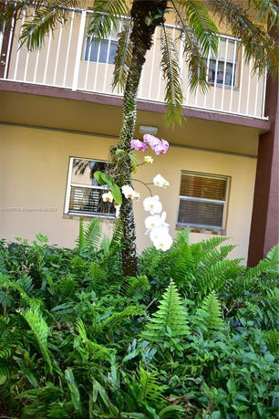 Front view of a building with plants and a palm tree in the foreground.