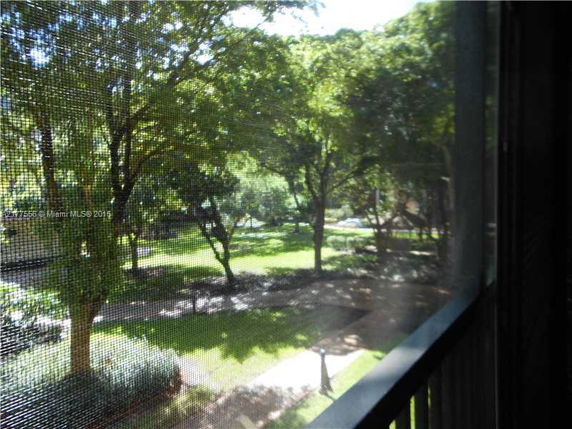 View of a green area with trees seen from a window.