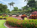 miamire/2078533781eac42ac3f9f8c2b87565a8.jpg?width=131&height=105&format3=webp