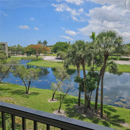 View from a building showing palm trees, a pond, and a parking area.