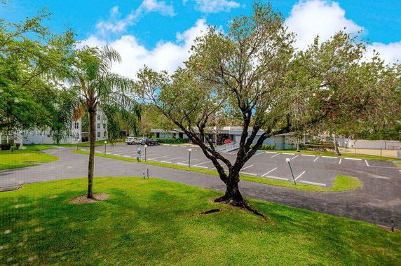 Outdoor parking area with surrounding greenery and trees.