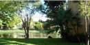 miamire/24d80e36792cdbbb3a0bf41ea2218475.jpg?width=131&height=105&format3=webp