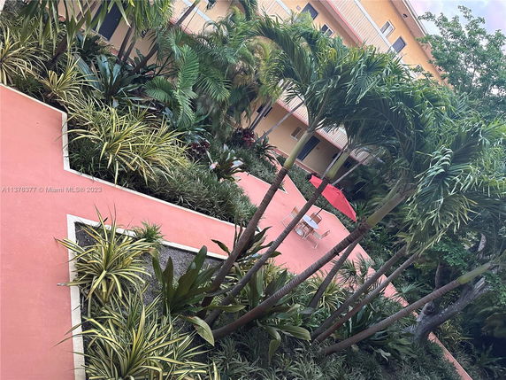 View of a landscaped courtyard area with plants and a building in the background.