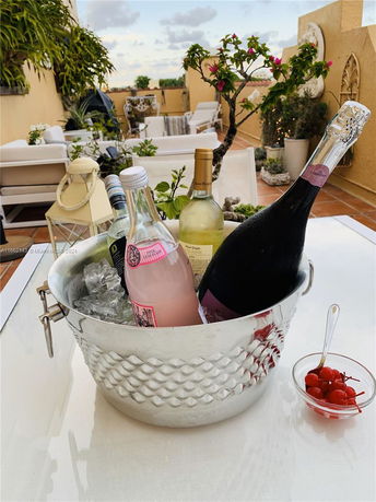 Rooftop with seating area and decorative plants, featuring an ice bucket with assorted beverages.