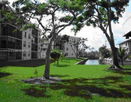 miamire/26aa98a685e2b4676a23e63d5279940c.jpg?width=131&height=105&format3=webp