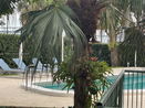 miamire/270e5d230f36ab1481fa78accbfd01c3.jpg?width=131&height=105&format3=webp