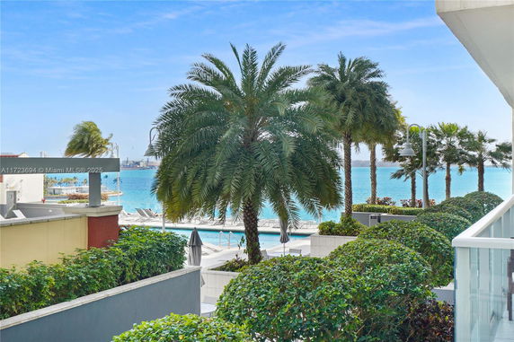 View of palm trees and a water body from a building.