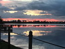 miamire/27da61c972e8f2f1b8566088b4110354.jpg?width=131&height=105&format3=webp