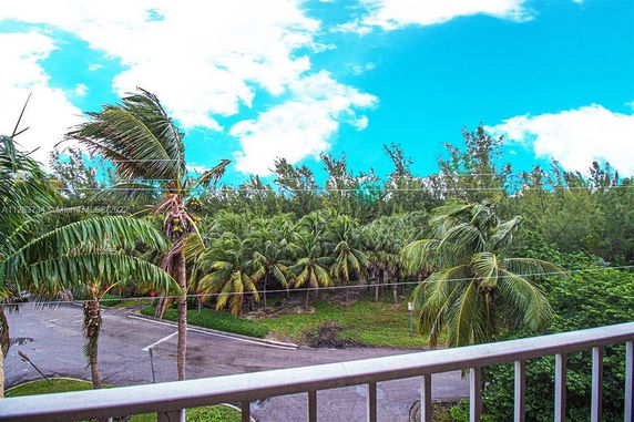 View from a balcony showing palm trees and a road.