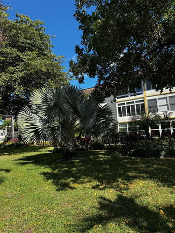 View of a building seen through trees and landscaping