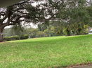 miamire/2ab51e5a10026c4c1a4528cfea462712.jpg?width=131&height=105&format3=webp