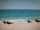 miamire/2b56b55977dcb864b0e7920217d75cb7.jpg?width=131&height=105&format3=webp