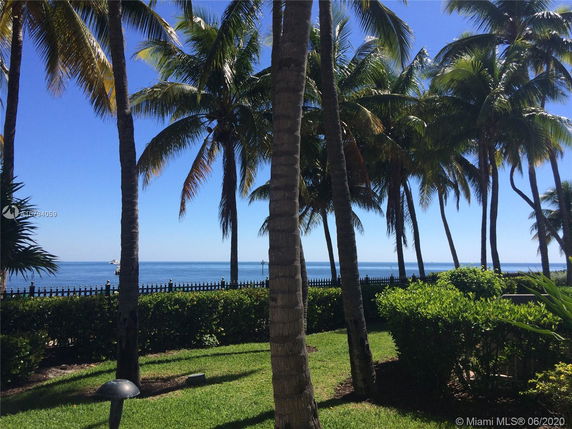 View of palm trees and the ocean from a yard.