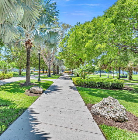 Pathway in a park lined with trees and greenery.