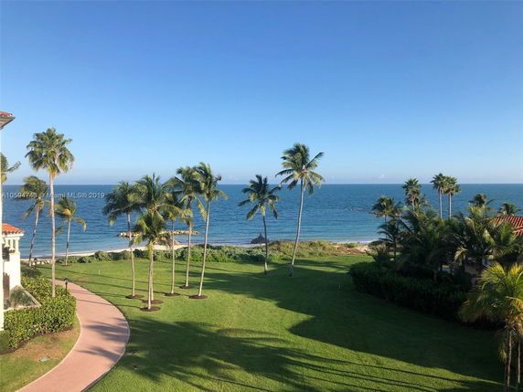 View of a coastline with palm trees and ocean in the background.