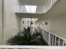 miamire/2e0171f2aa2eb2d3ec94f1452d1441b8.jpg?width=131&height=105&format3=webp