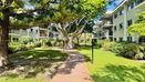 miamire/30396a39dc3b6972c57dd3bb06fab6e3.jpg?width=131&height=105&format3=webp