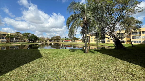 View of a grassy yard with a palm tree, surrounded by buildings and a pond.