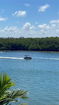 miamire/3188470148eca4504fcc08f95910f318.jpg?width=131&height=105&format3=webp