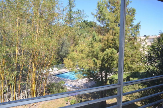 View of a swimming pool surrounded by trees and fences.