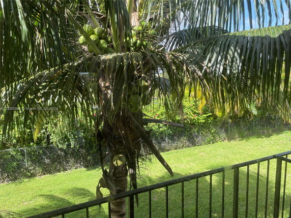 View of a backyard with a palm tree and green lawn seen from a building.