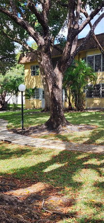 Front view of a two-story yellow house with large windows, shaded by a tree.