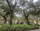 miamire/327eca9c717da2f6293515398bcb0ab5.jpg?width=131&height=105&format3=webp
