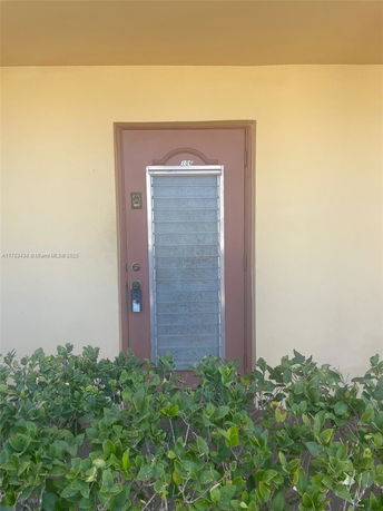 Front view of a door with metal screen and plants in front.