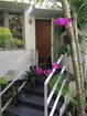 miamire/33cdf1b15eb47c1034347a945dfa954f.jpg?width=131&height=105&format3=webp