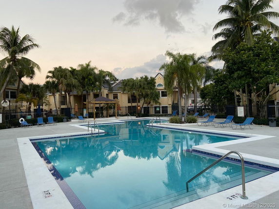 Outdoor swimming pool area with lounge chairs and palm trees.