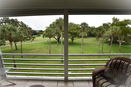 miamire/35712fc0133945d422336324ebfeea2c.jpg?width=131&height=105&format3=webp