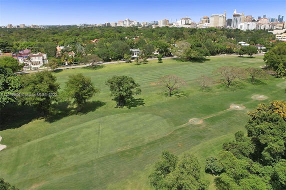 View of a green landscape with trees and distant city skyline.