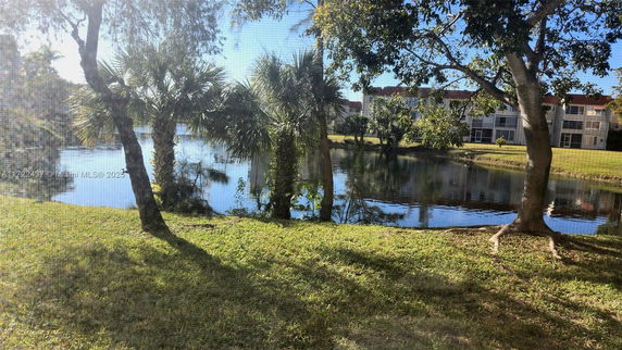 A pond surrounded by palm trees and grassy areas with multi-story buildings and trees in the background.