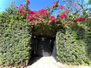 miamire/3655a0c824d0d467c269240fb419c323.jpg?width=131&height=105&format3=webp