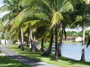 miamire/36826f9044788ebaa49486dd719b94e7.jpg?width=131&height=105&format3=webp
