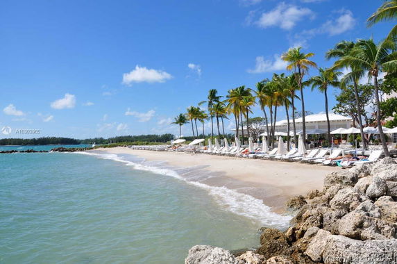 View of a beach with lounge chairs, umbrellas, and palm trees alongside the ocean.