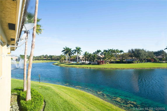 View of a lake surrounded by palm trees and lush greenery, with houses in the background.