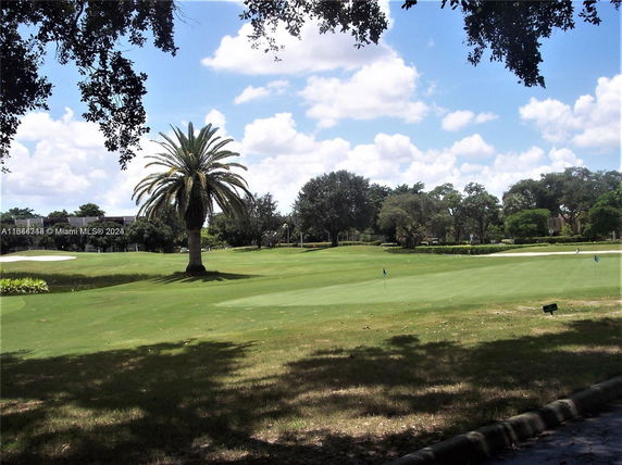 View of a golf course with a palm tree and greenery under a blue sky.
