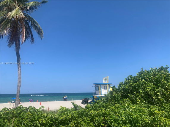 Beach scene with a palm tree, ocean, and lifeguard tower.