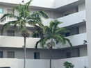 miamire/3815379cbf9cc4a8f8fae116f5cf2434.jpg?width=131&height=105&format3=webp